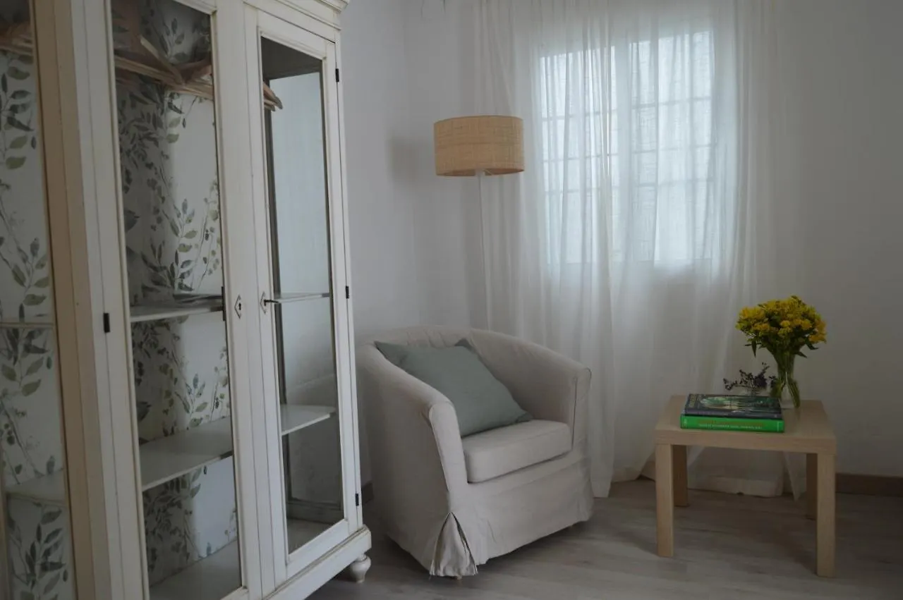 Isg Apartments Precioso Atico Con Terraza Privada En El Centro- Free Parking إشبيلية