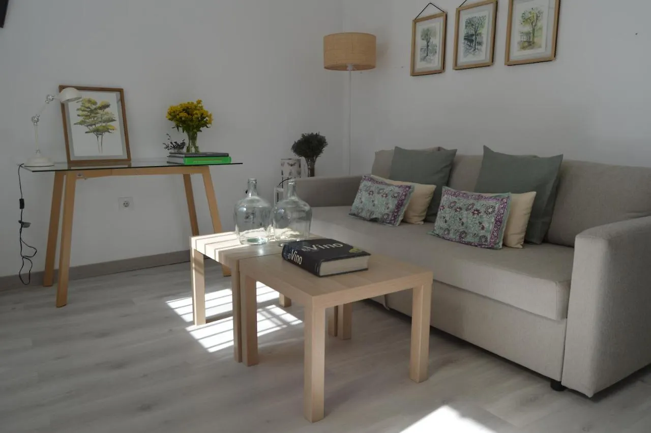 Isg Apartments Precioso Atico Con Terraza Privada En El Centro- Free Parking إشبيلية