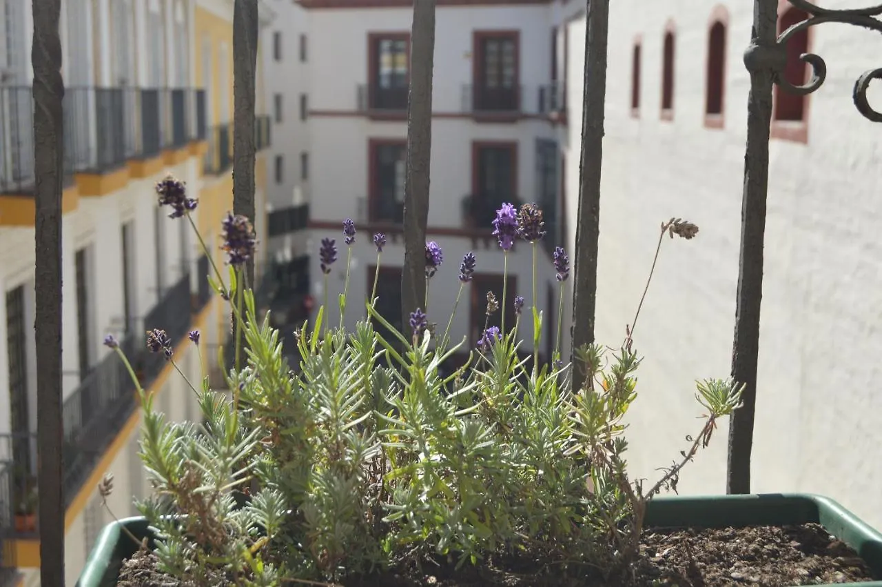 Isg Apartments Precioso Atico Con Terraza Privada En El Centro- Free Parking إشبيلية 0*,  إسبانيا